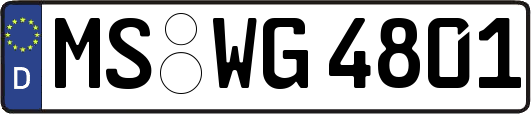 MS-WG4801