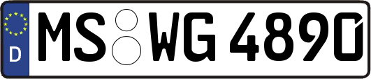 MS-WG4890