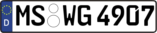 MS-WG4907