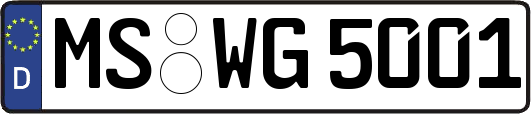 MS-WG5001