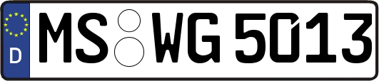 MS-WG5013