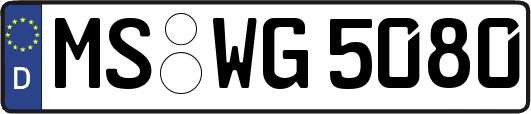 MS-WG5080