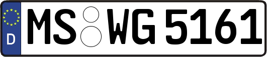 MS-WG5161