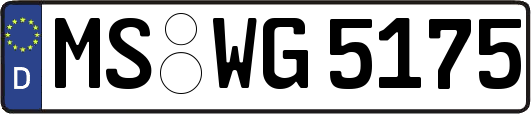 MS-WG5175