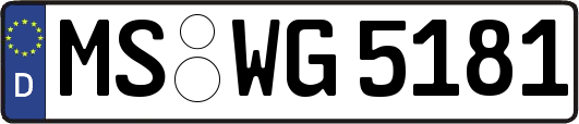 MS-WG5181