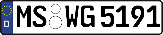 MS-WG5191
