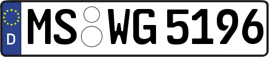 MS-WG5196