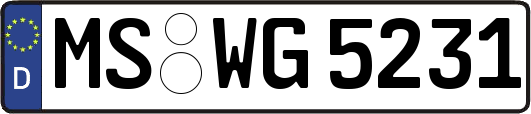 MS-WG5231