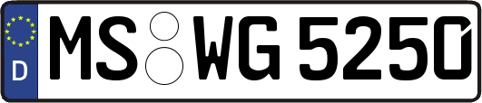 MS-WG5250