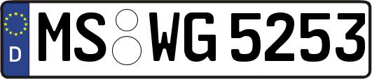 MS-WG5253
