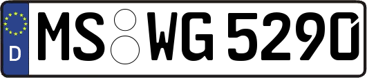 MS-WG5290