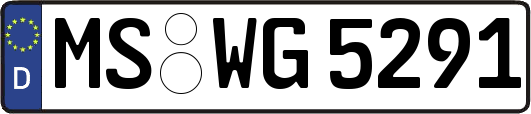 MS-WG5291