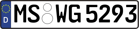 MS-WG5293