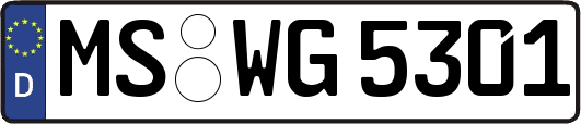 MS-WG5301