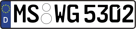MS-WG5302