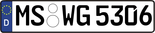 MS-WG5306