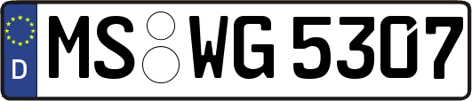 MS-WG5307