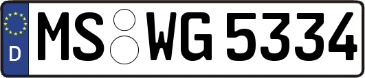MS-WG5334