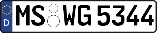 MS-WG5344