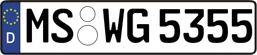 MS-WG5355