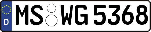 MS-WG5368