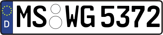 MS-WG5372