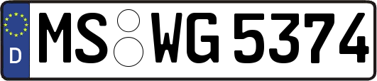 MS-WG5374