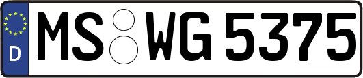 MS-WG5375