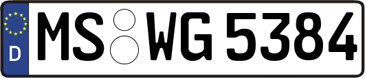 MS-WG5384