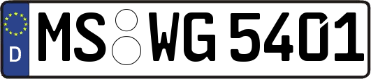 MS-WG5401
