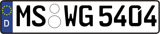 MS-WG5404
