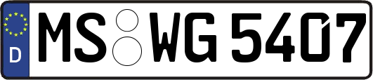 MS-WG5407