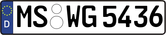 MS-WG5436