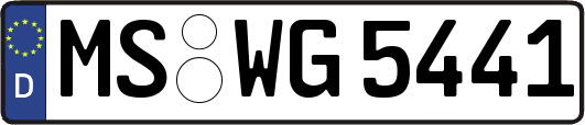 MS-WG5441