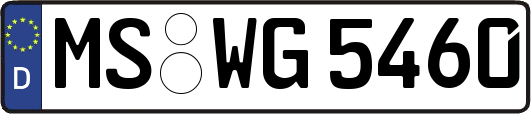 MS-WG5460