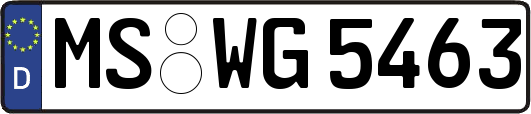 MS-WG5463