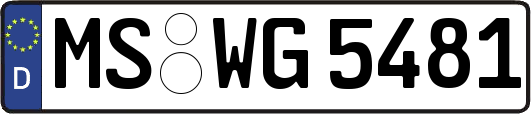 MS-WG5481