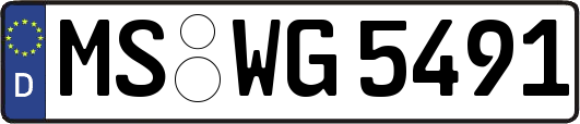 MS-WG5491