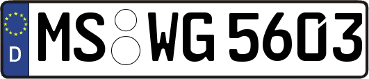 MS-WG5603