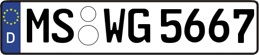 MS-WG5667