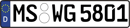 MS-WG5801