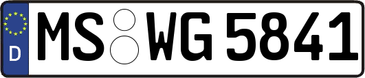 MS-WG5841