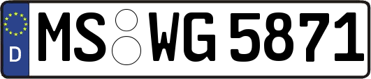 MS-WG5871