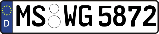 MS-WG5872
