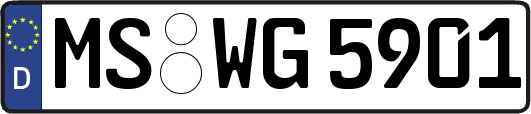 MS-WG5901