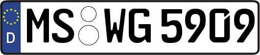MS-WG5909