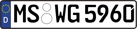 MS-WG5960