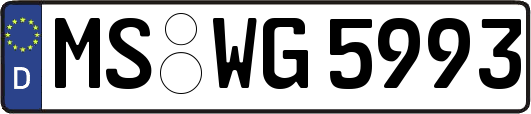 MS-WG5993