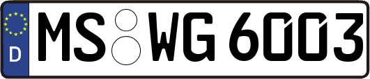 MS-WG6003