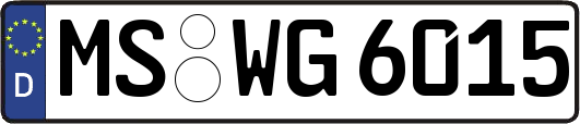 MS-WG6015